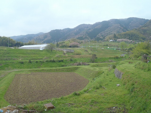 b0044663_0331753.jpg