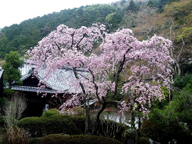 b0044663_0341189.jpg