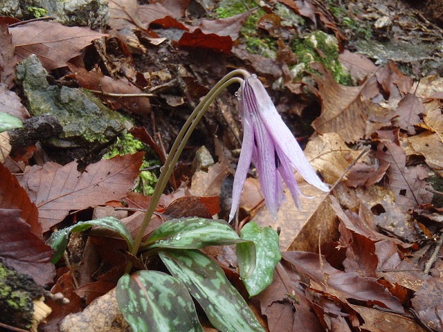 b0044663_0354146.jpg