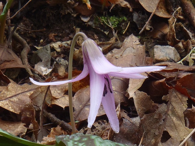 b0044663_0371757.jpg