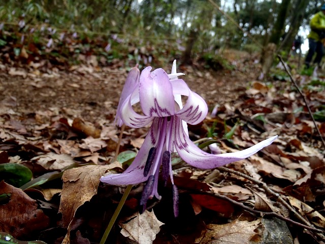 b0044663_0381664.jpg