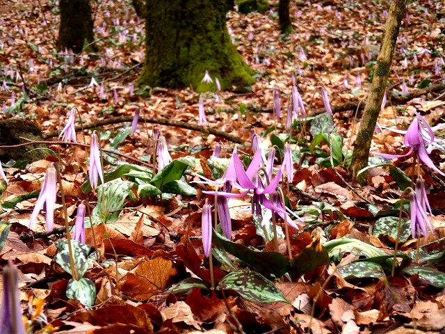 b0044663_0401146.jpg