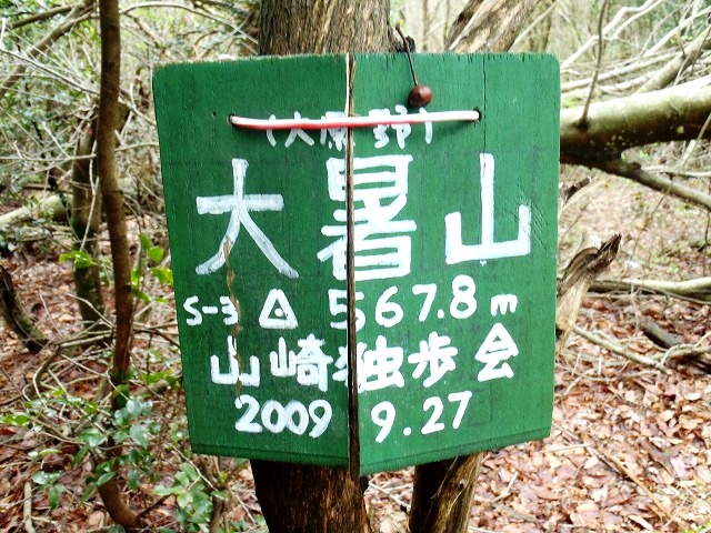 b0044663_040423.jpg