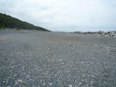 a0168865_1091435.jpg