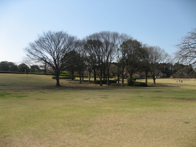 e0139165_6494633.jpg