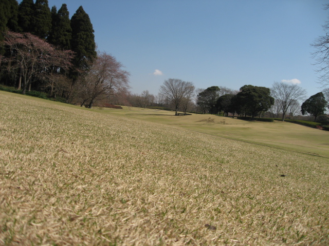 e0139165_6502887.jpg