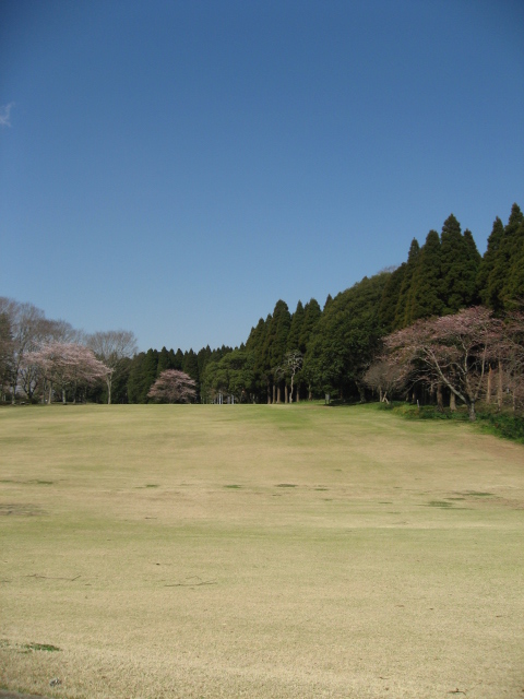 e0139165_6513430.jpg