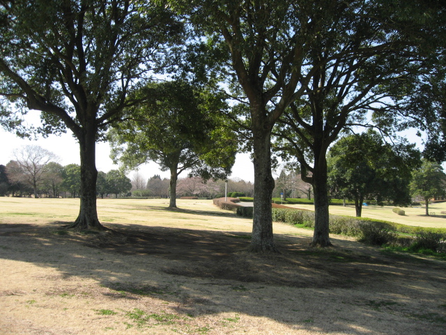 e0139165_6523271.jpg