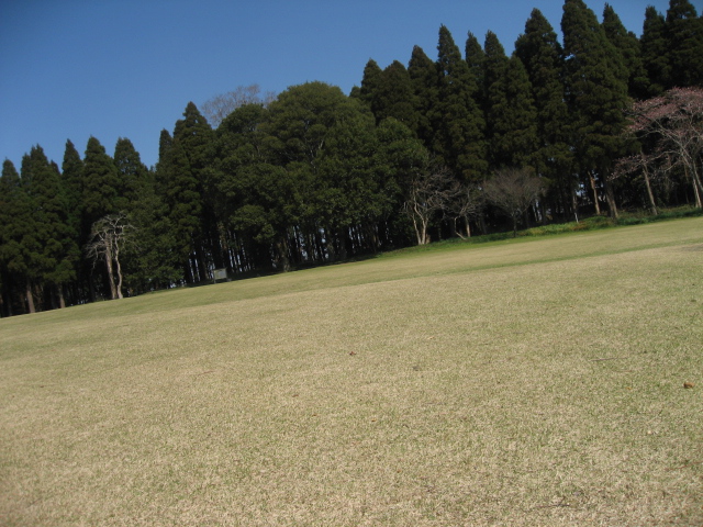 e0139165_652652.jpg