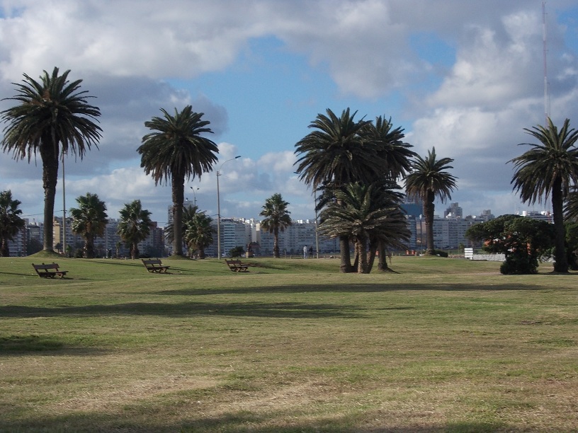 c0103368_5174011.jpg