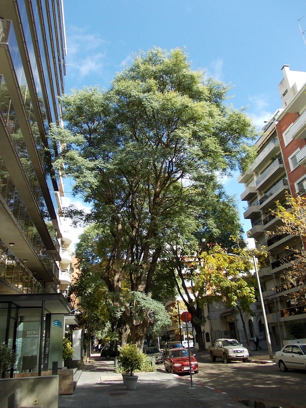 c0103368_5185284.jpg