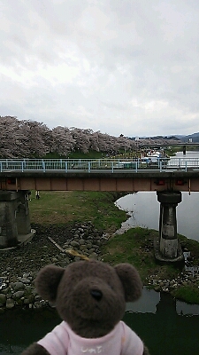 a0038370_22264157.jpg