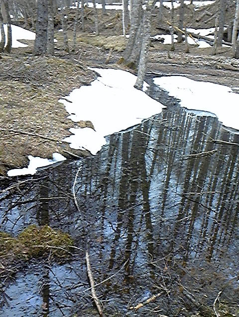 e0118274_19451845.jpg