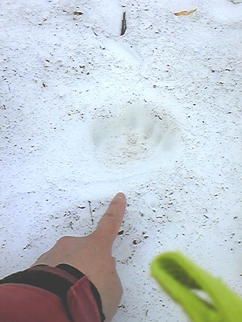 e0118274_19564214.jpg