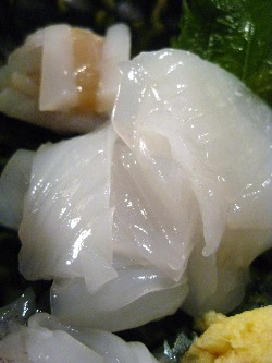 f0056476_1230675.jpg