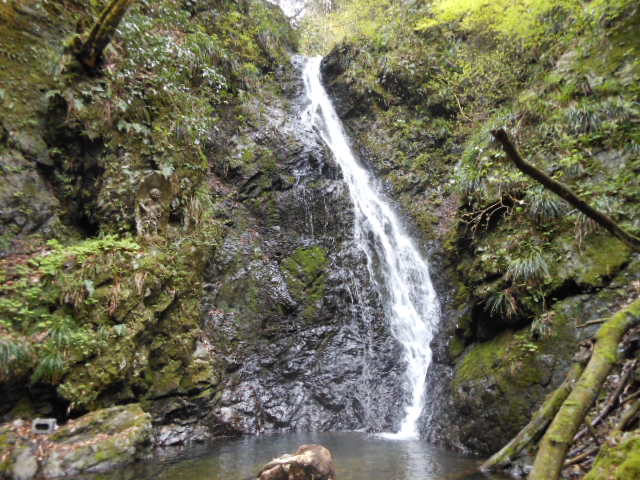 c0206177_7343932.jpg