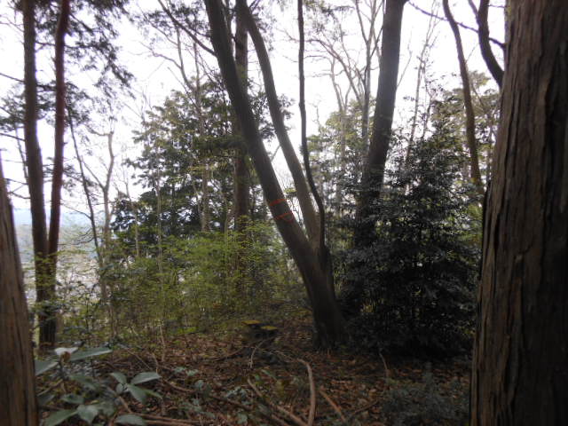 c0206177_7352099.jpg