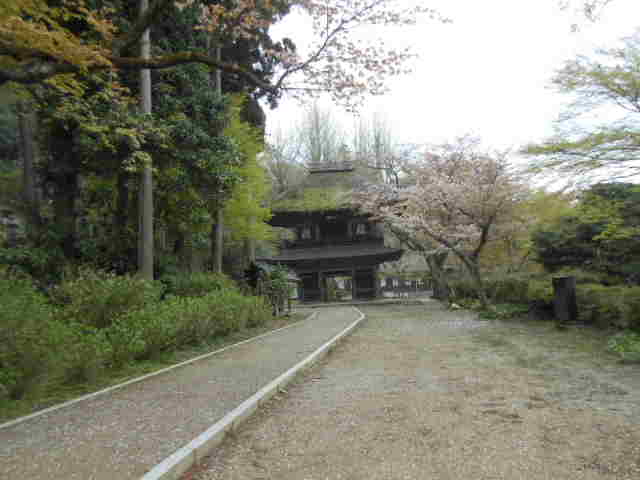 c0206177_735598.jpg