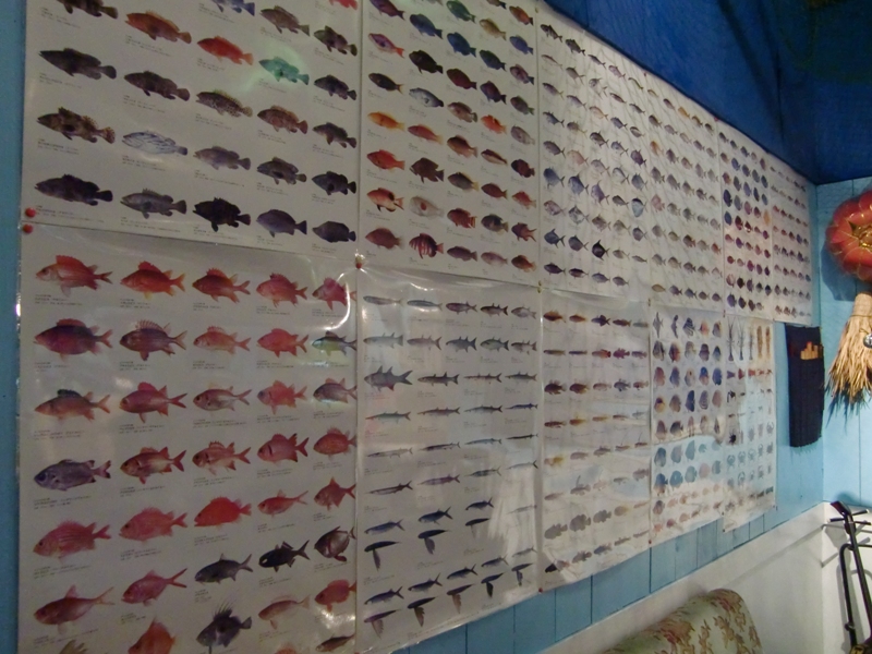 f0238779_1046720.jpg