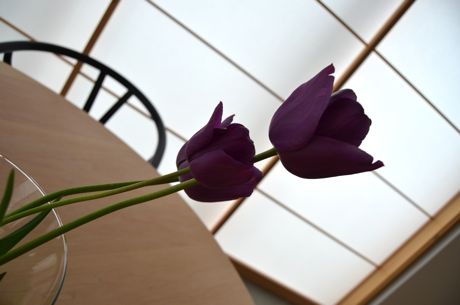 a0228480_1462498.jpg