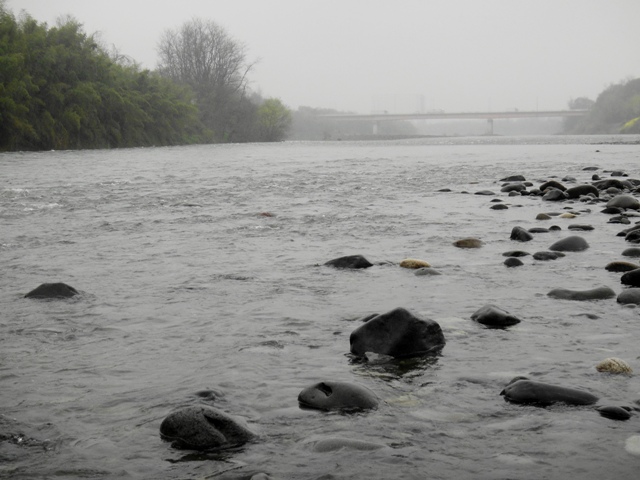 c0157482_21485659.jpg