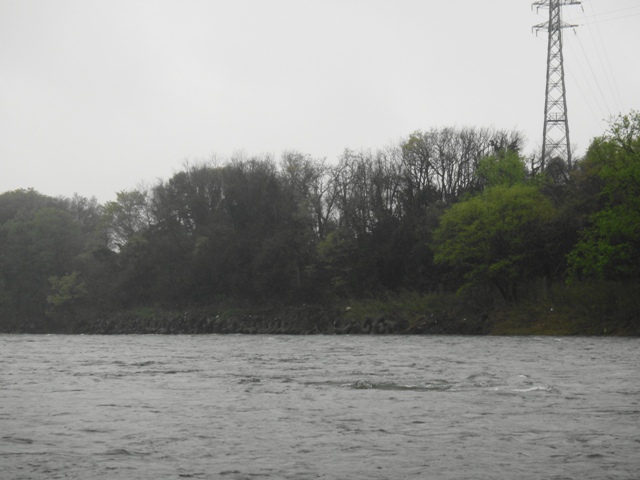 c0157482_2149667.jpg
