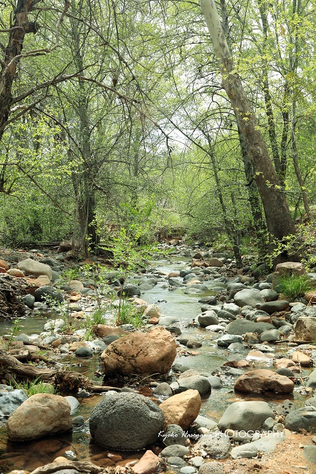 e0148185_8575312.jpg