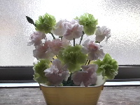 f0235289_8414873.jpg