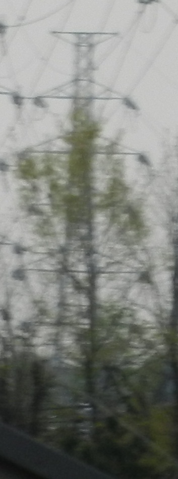 d0224990_2071172.jpg