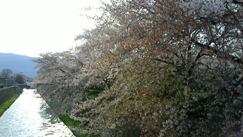 a0079292_741615.jpg