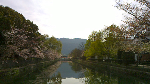 a0079292_752936.jpg
