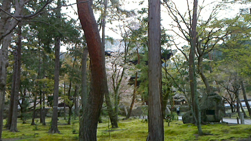 a0079292_763045.jpg