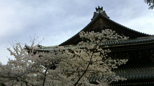 a0079292_765148.jpg
