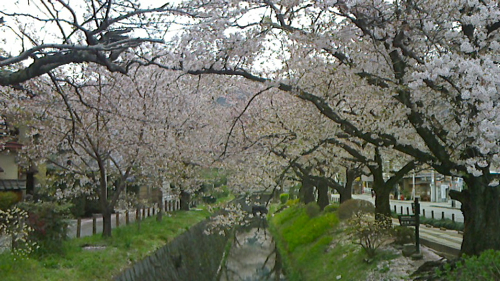 a0079292_782131.jpg