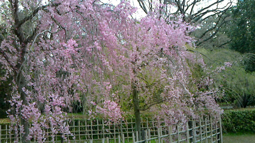 a0079292_784570.jpg