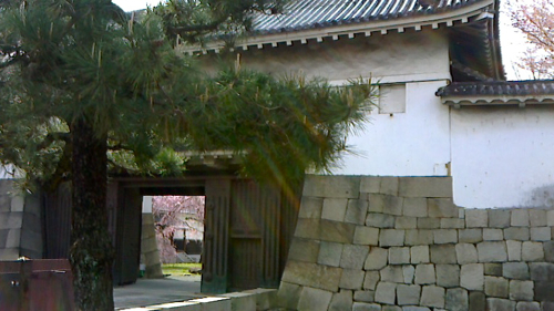 a0079292_791142.jpg