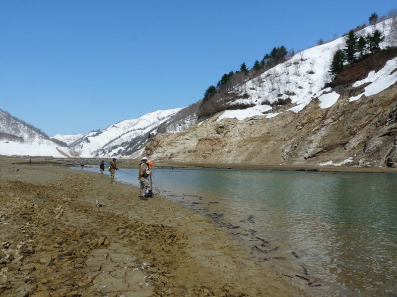 e0202393_12465413.jpg