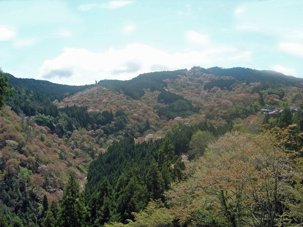d0047094_12514426.jpg