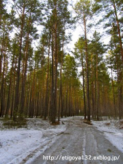 e0250594_0143658.jpg