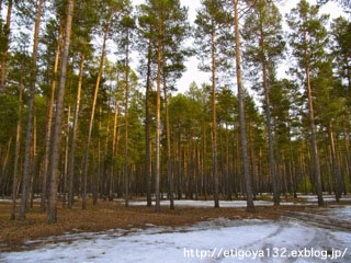 e0250594_015456.jpg