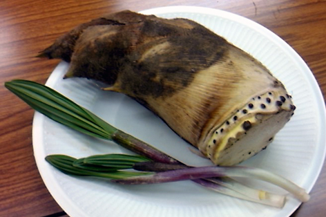 f0008597_21293341.jpg