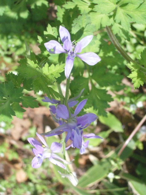 e0025300_1835814.jpg