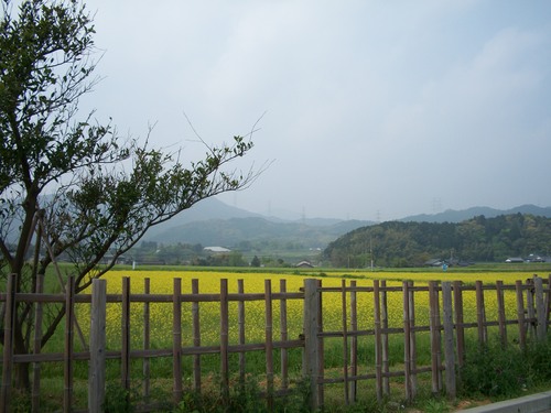 d0168003_17382056.jpg
