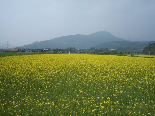 d0168003_1742214.jpg