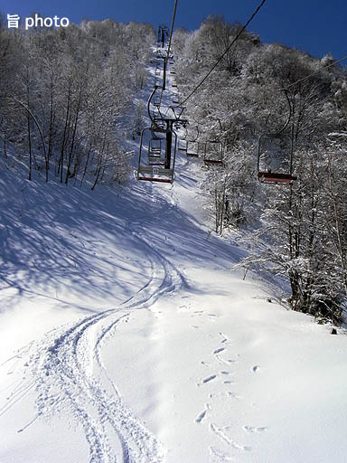 b0061004_21173411.jpg