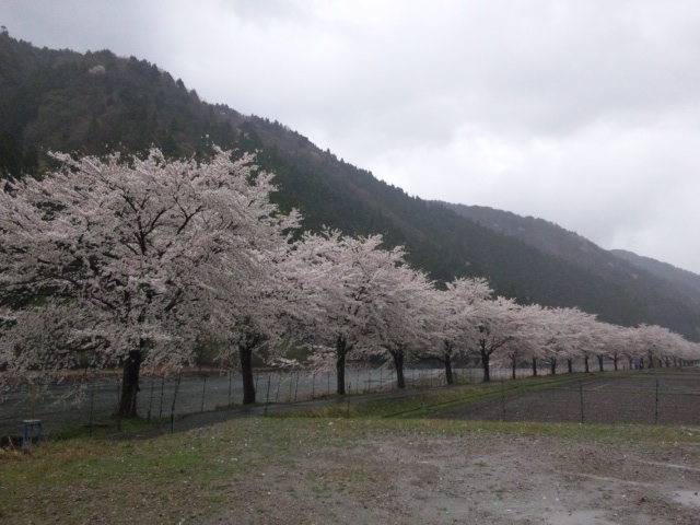e0252905_1227862.jpg