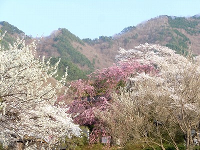 c0117007_22322712.jpg