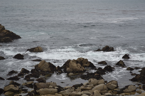 f0014009_894520.jpg