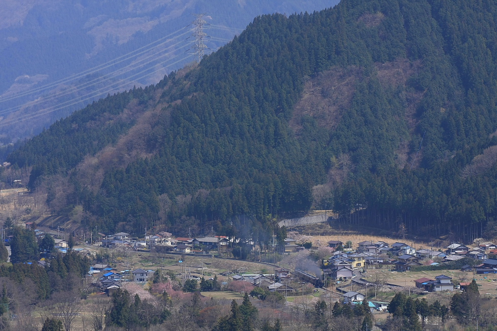 b0190710_2215357.jpg