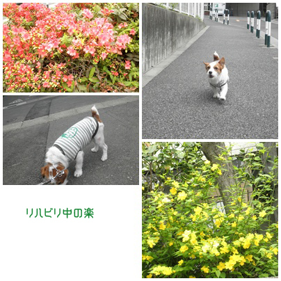 c0157412_23133761.jpg